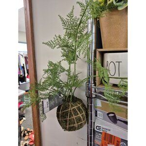 Hanging Moss Ball Decorative Plant By Threshold